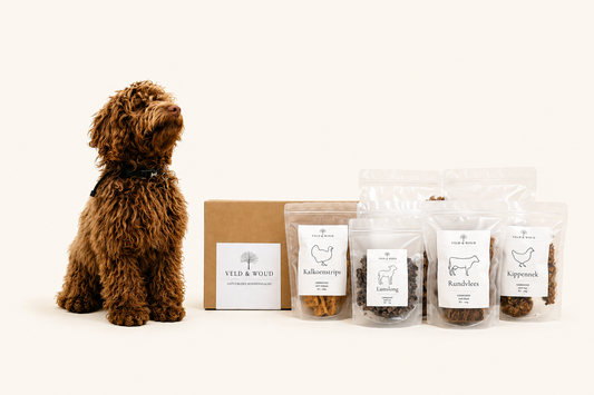 Snackbox middelgrote hond