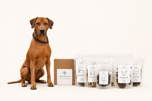 Snackbox grote hond
