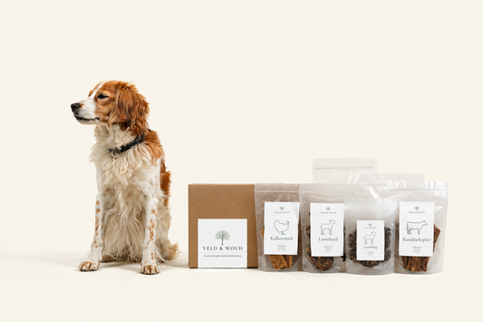 Snackbox kleine hond